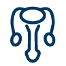 icon_Penis
